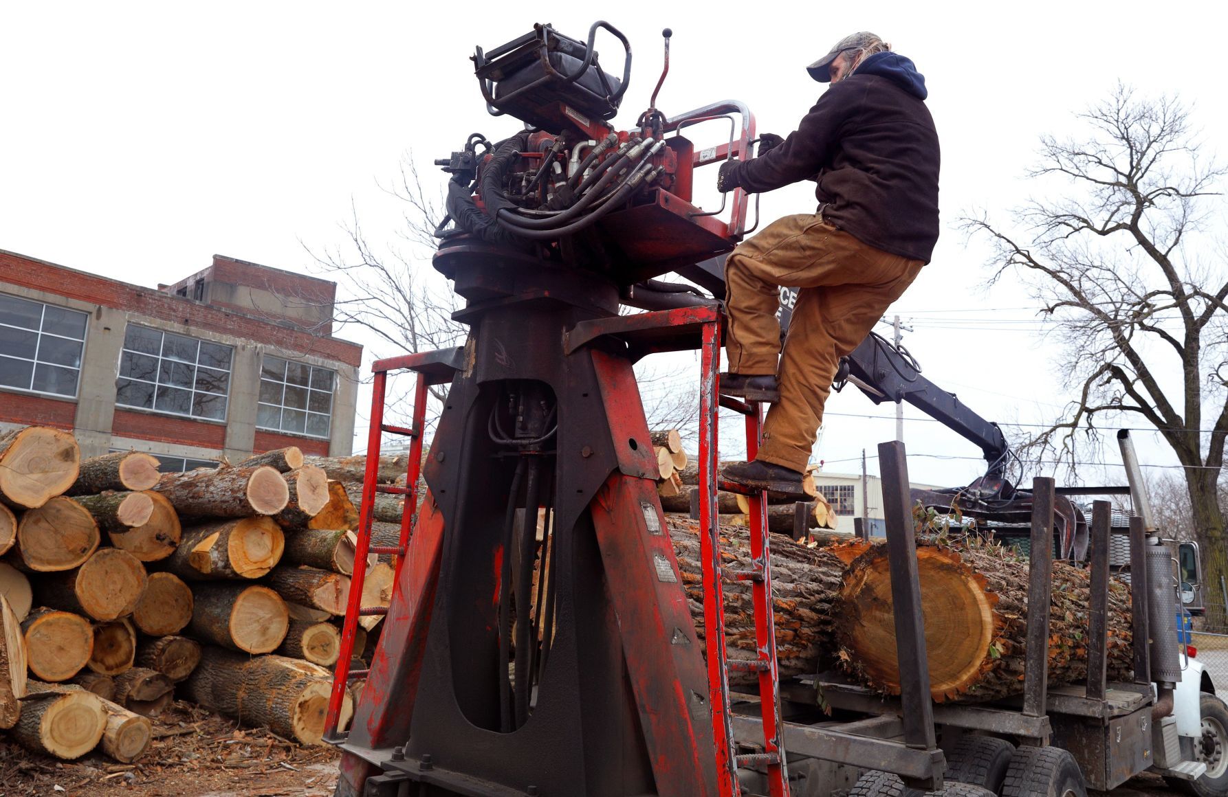 LLC makes smart use of urban trees